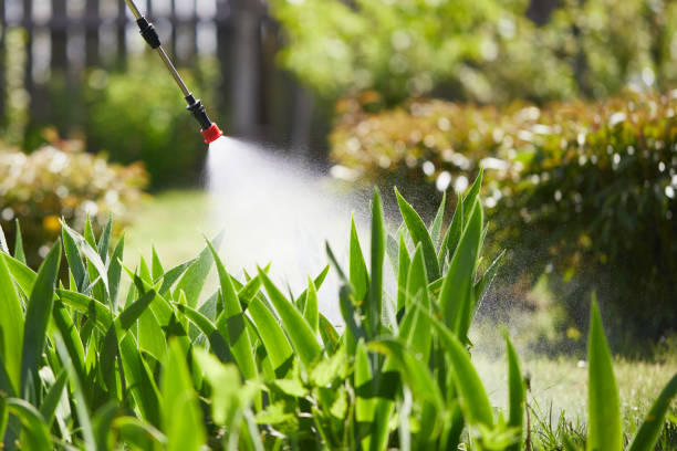 24/7 Emergency Wasp Removal experts in Rapid City, MI
