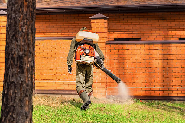 Top rated local Wasp Removal specialists in Rapid City, MI